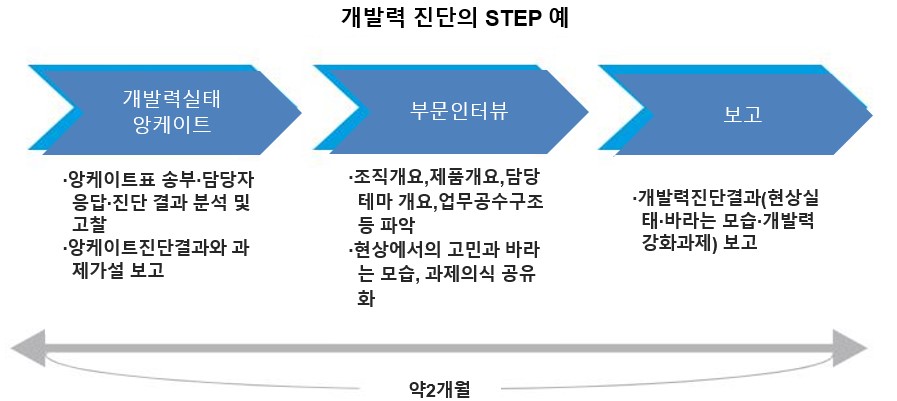 개발력 진단 스텝 예